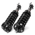 2 Pcs Front Complete Strut & Coil Spring Assembly for 2014 Ford F-150