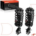 2 Pcs Front Complete Strut & Coil Spring Assembly for 2010 Lincoln MKX