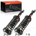 2 Pcs Rear Complete Strut & Coil Spring Assembly for 2014 Honda Accord