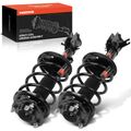 2 Pcs Front Complete Strut & Coil Spring Assembly for 2006 Hyundai Santa Fe