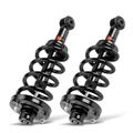 2 Pcs Rear Complete Strut & Coil Spring Assembly for 2018 Ford Expedition