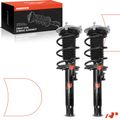 2 Pcs Front Complete Strut & Coil Spring Assembly for 2012 BMW 335i