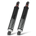 2 Pcs Rear Complete Strut & Coil Spring Assembly for 2010 Dodge Dakota