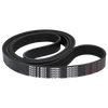 Serpentine Belt