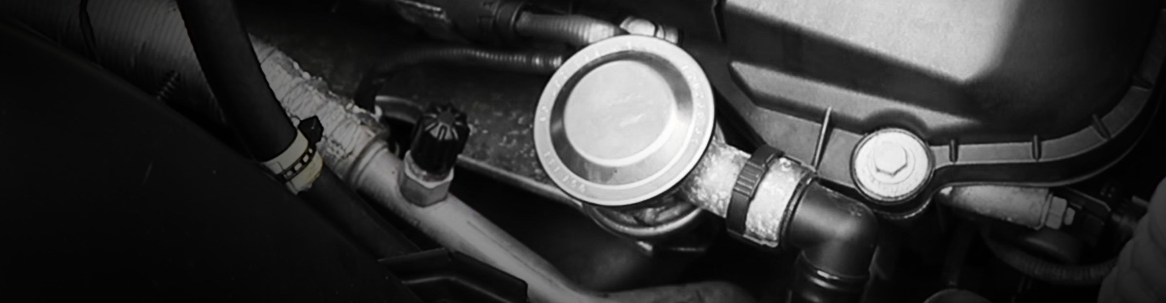 Secondary Air Injection Check Valve