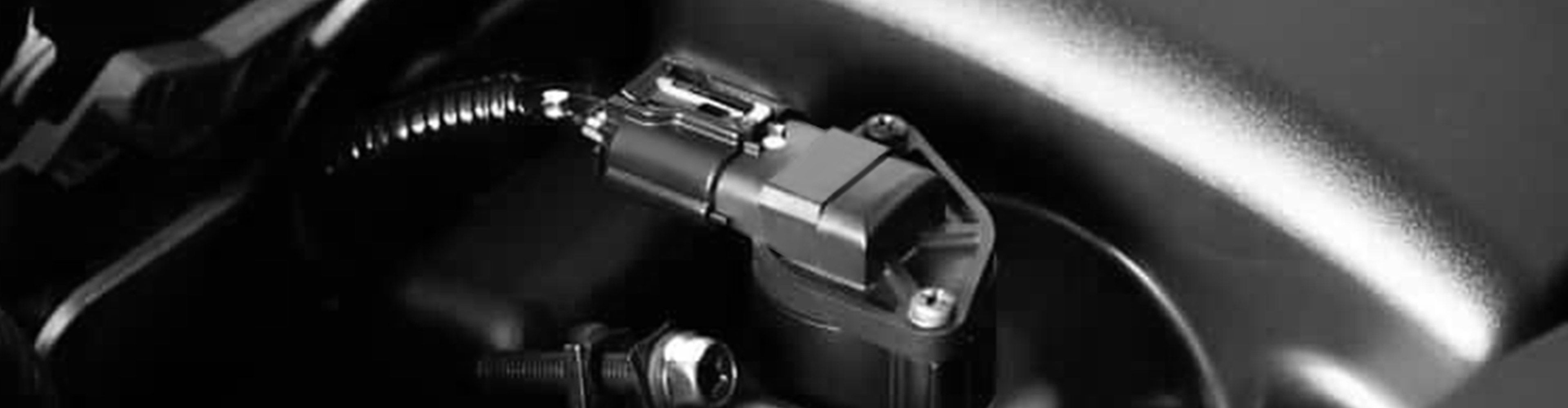 Strut Mount