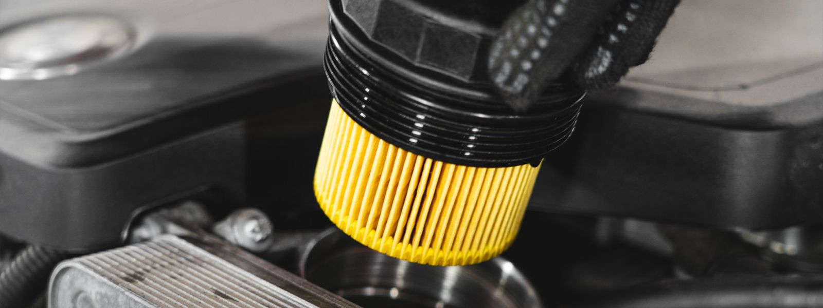 A new oil filter into the housing