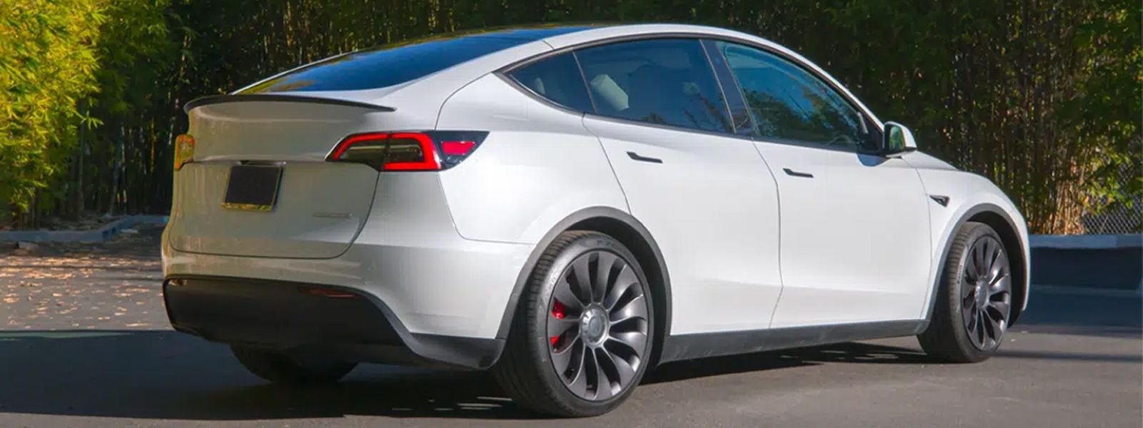 Tesla Model Y rear view