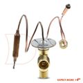 AC Expansion Valve for 1991 Acura Legend