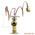 AC Expansion Valve for 1995 Hyundai Scoupe