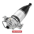 Rear Driver Air Suspension Strut for 2012 Porsche Cayenne