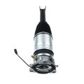 Rear Driver Air Suspension Strut for 2005 Volkswagen Phaeton