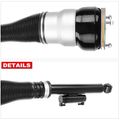 Rear Driver Air Suspension Strut for 2015 Mercedes-Benz S600