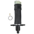 Rear Driver Air Suspension Spring Bags for 2003 Audi Allroad Quattro