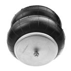 2 Pcs Driver & Passenger Air Suspension Spring Bags for 2B9229 W01-358-6897