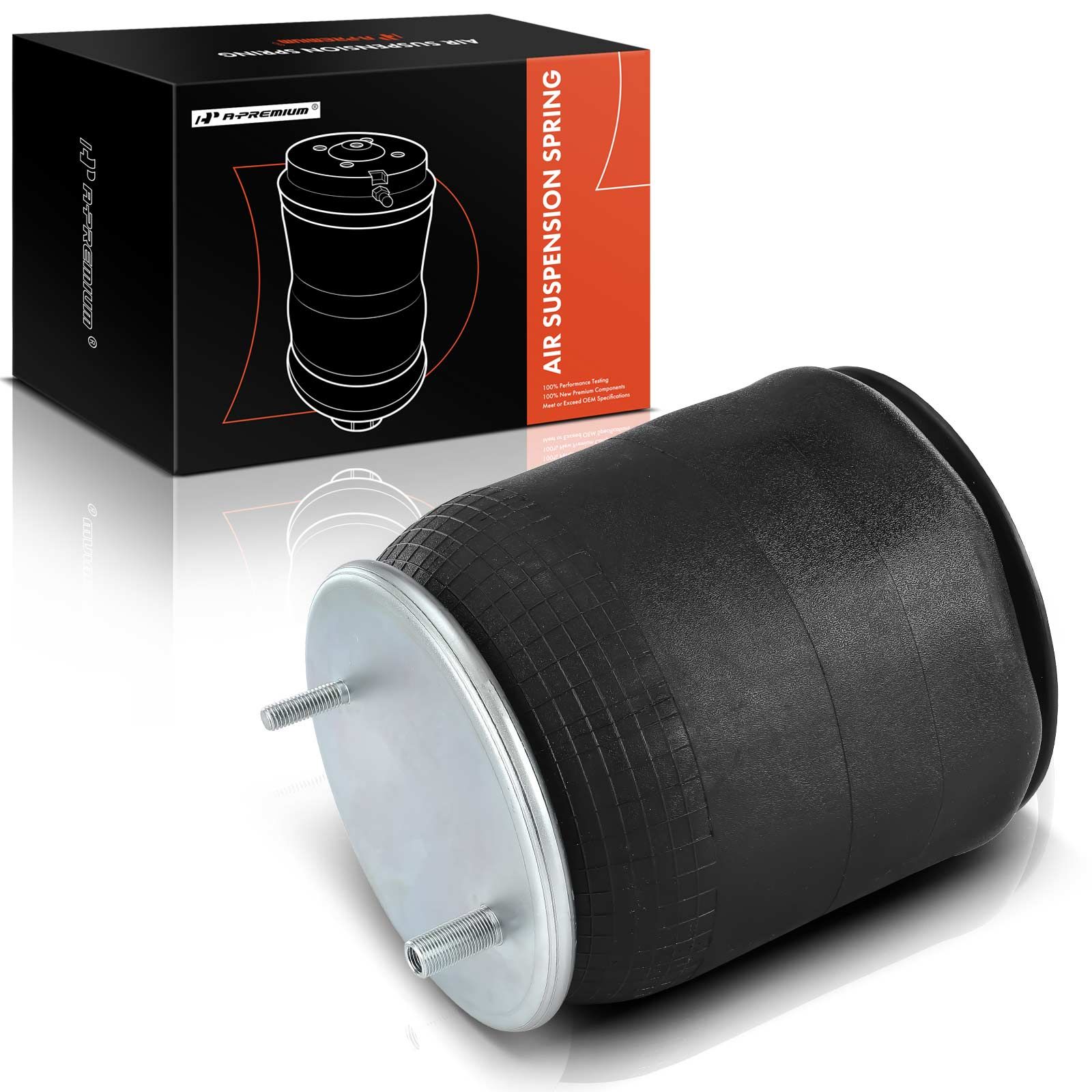 Driver or Passenger Air Suspension Spring Bag for W013589921 W01358