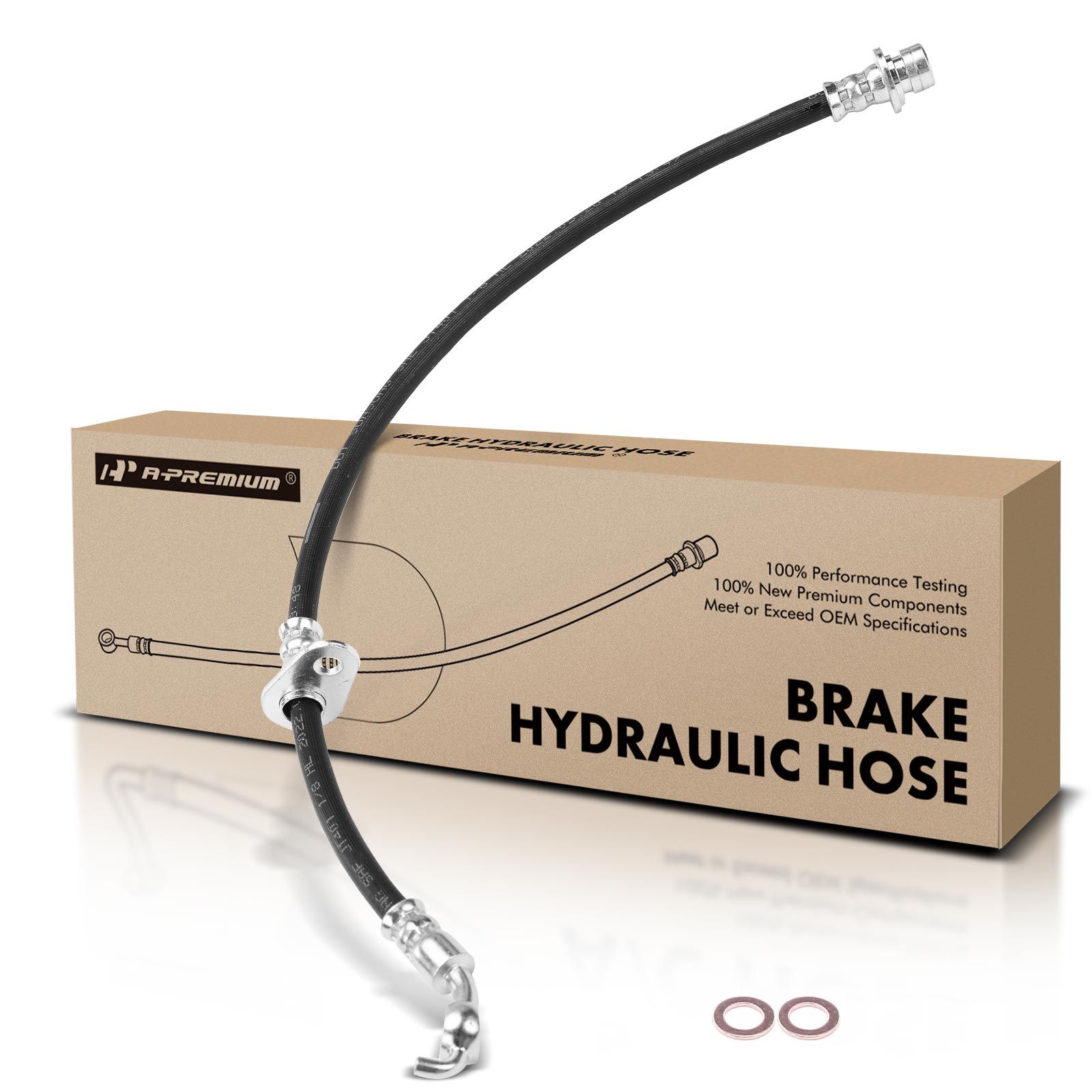 Rear Passenger Brake Hydraulic Hose