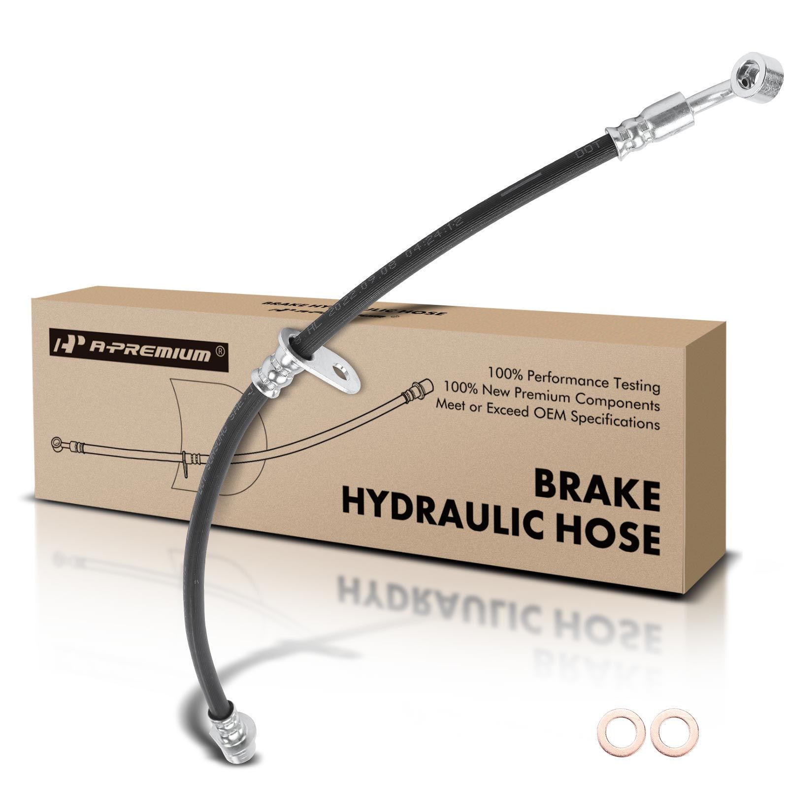 Rear Passenger Brake Hydraulic Hose