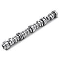 Engine Camshaft for 2008 Chevrolet Express 2500