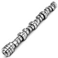 Engine Camshaft for Dodge Durango 2009 Ram 1500 Chrysler Aspen Ram 1500 Classic