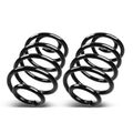 2 Pcs Rear Suspension Coil Springs for 2002 Jeep TJ