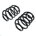 2 Pcs Rear Suspension Coil Springs for 2002 Jeep TJ