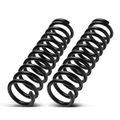 2 Pcs Front Coil Springs for 1969 Pontiac LeMans