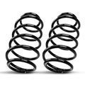 2 Pcs Front Suspension Coil Springs for 2001 Buick LeSabre