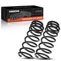 2 Pcs Rear Coil Springs for 1998 Jeep Grand Cherokee