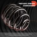 2 Pcs Front Coil Springs for 2008 Jeep Compass