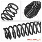 2 Pcs Rear Coil Springs for Dodge Journey 2009-2010 L4 2.4L