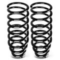 2 Pcs Front Suspension Coil Springs for 1999 Hyundai Sonata