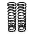 2 Pcs Rear Suspension Coil Springs for 2007 Ford Focus