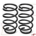 2 Pcs Rear Coil Springs for 2012 Ford Edge