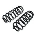 2 Pcs Rear Suspension Coil Springs for 2010 Ford Fusion