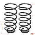 2 Pcs Front Coil Springs for 2006 Mazda 5