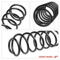 2 Pcs Rear Coil Springs for 2000 Toyota 4Runner