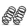 2 Pcs Rear Suspension Coil Springs for 2005 Toyota 4Runner