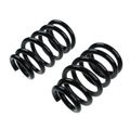 2 Pcs Front Suspension Coil Springs for 2005-2007 Toyota Tacoma