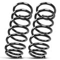 2 Pcs Rear Suspension Coil Springs for 2004 INFINITI I35