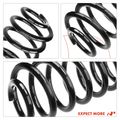 2 Pcs Rear Suspension Coil Springs for 2002 Ford Expedition