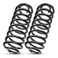 2 Pcs Rear Suspension Coil Springs for 2002 Ford Expedition