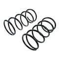 2 Pcs Front Suspension Coil Springs for 2002 Mitsubishi Galant