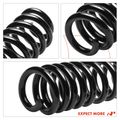 2 Pcs Front Coil Springs for 2006 Ford E-150