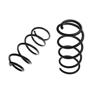 2 Pcs Front Suspension Coil Springs for BMW X1 E84 2012-2015