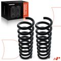 2 Pcs Rear Suspension Coil Springs for 2004 Mercedes-Benz C240