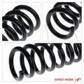 2 Pcs Rear Suspension Coil Springs for 2006 Mercedes-Benz C350