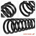 2 Pcs Rear Suspension Coil Springs for 1996 Mercedes-Benz C220