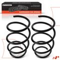 2 Pcs Front Suspension Coil Springs for 2005 BMW 330xi