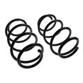 2 Pcs Front Suspension Coil Springs for 2001 BMW 540i